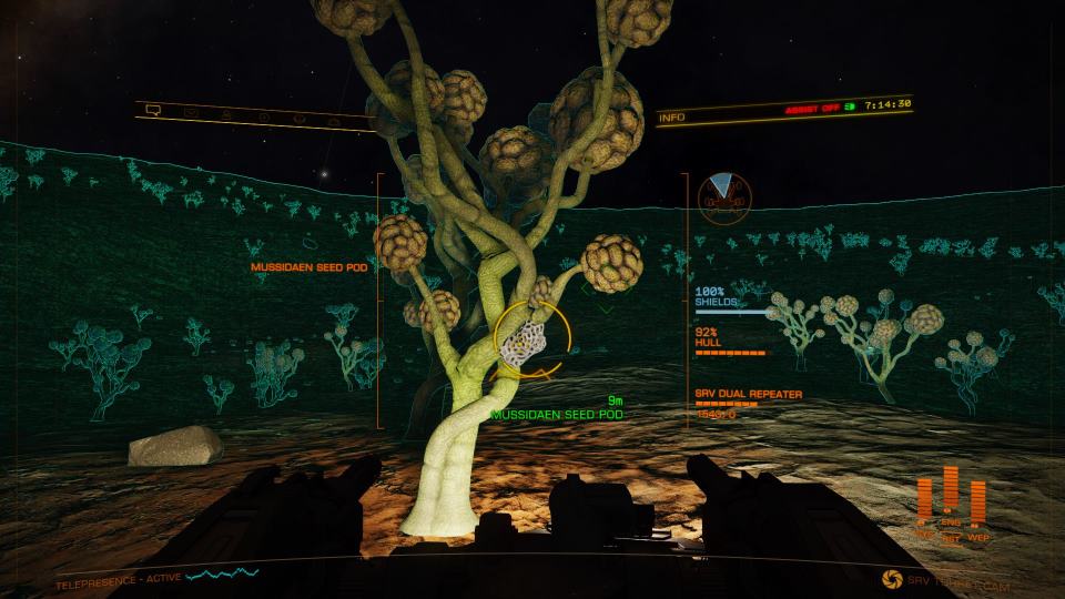 SRV cockpit view targeting a glowing Mussidaen Seed Pod on a brain tree, dual repeater weapon selected, pod locked at nine metres.